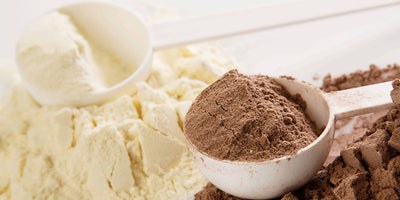 Whey Vs Plant Protein: What's Better?